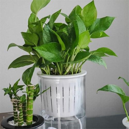 PP Automatic Self Watering Flower Pot For Succulent Plants Indoor Home Decor Office Decor Hydroponic Flowerpot