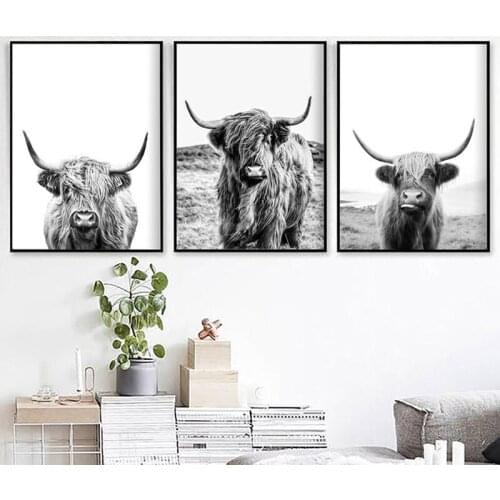 Black And White Highland Cow Cattle Wall Canvas Art Nordic Painting Poster Print Scandinavian Wall Picture For Living Room Decor