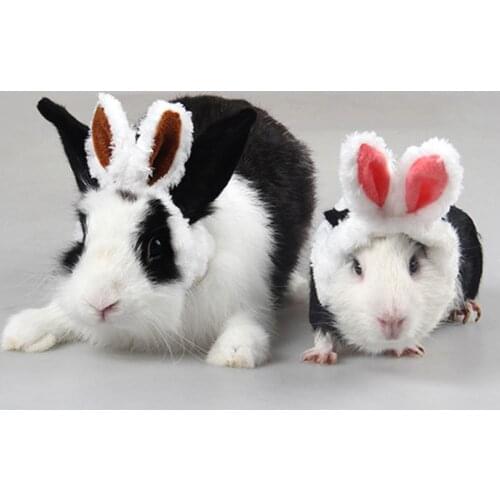 Pet Guinea Pig Kittens Warm Plush Hat Adjustable Headband with Cute Rabbit Ears