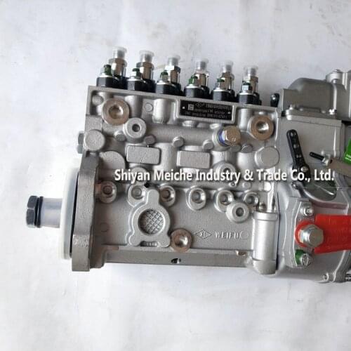 Fuel Injection Pump High Quality Engine Parts 3960919 Diesel Injection Pump