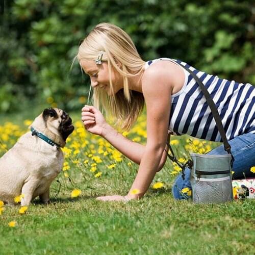 Outdoor Dog Training Snack Reward Bag Creative Large Capacity Pet Training Supplies Strong Wear Resistance Puppy Snack Waist Bag