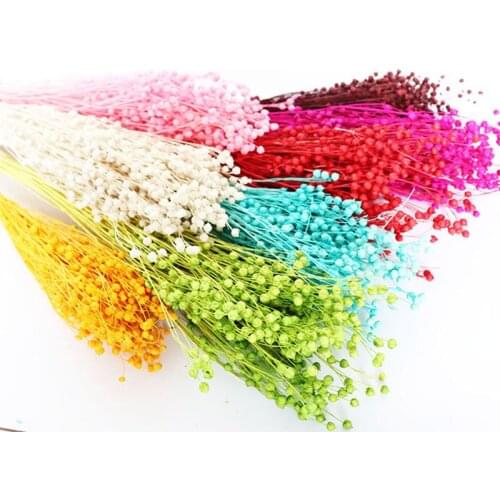 20g/30-35cm,Natural Dried Beads Flowers Bouquet,Eternal Real Dry Plant For Wedding Party Christmas Home Decoration Accessories