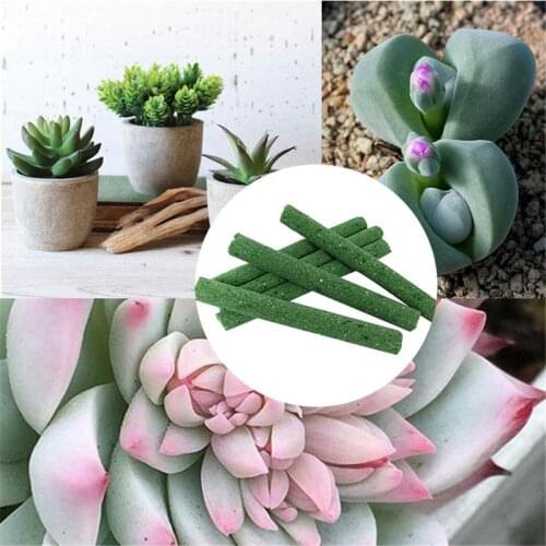 Home Gardening Plant Nutrition Bar Potted Succulent Organic Slow-release Fertilizer Plant Growth Regulator 25g