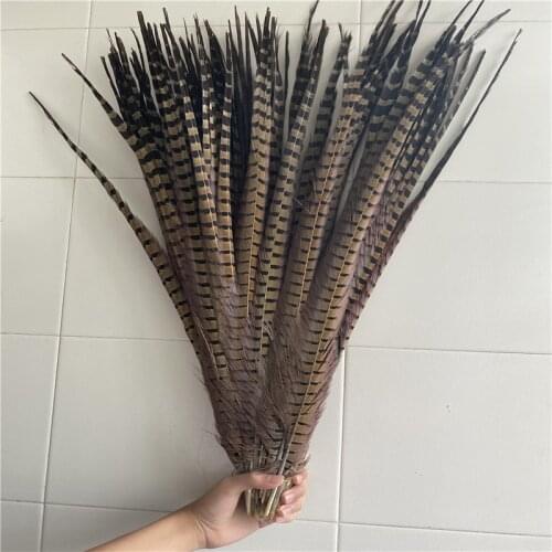 50pcs/lot High Quality Natural Color Pheasant Tail Feathers 28-32inches /70-80CM Accessories Dancers Crafts Christmas DIY Plume