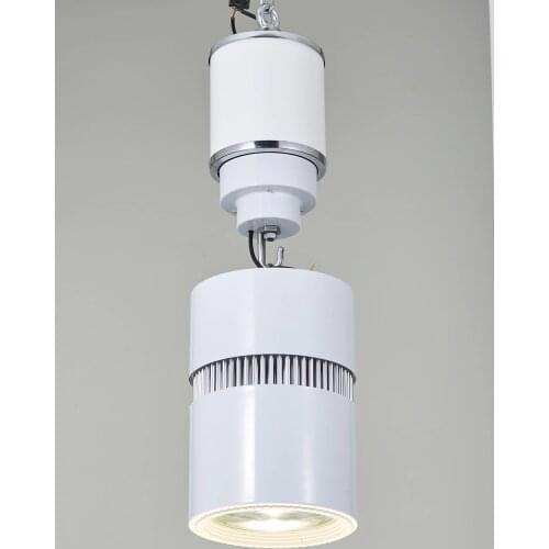 15 KG 15 M Electric Winch Lifter Remote Control Coding Laser Lighting Hoist Electric Winch Lifting Light 2 Steels