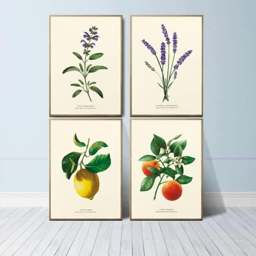 Nordic Style Lavender Sage Lemon Posters Botanical Canvas Painting Farmhouse Wall Art Pictures for Living Room Home Decoration