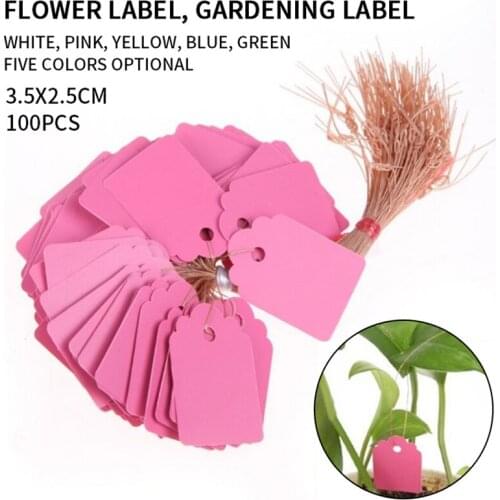 Colourful Plant Tags Garden Nursery Label hanging tree Markers seedling plant fruit trees signs prompt card classification tool