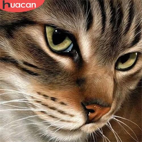 HUACAN 5d Diamond Painting Full Drill Square Cat Diamond Mosaic Accessories Animal Rhinestones Pictures Wall Art