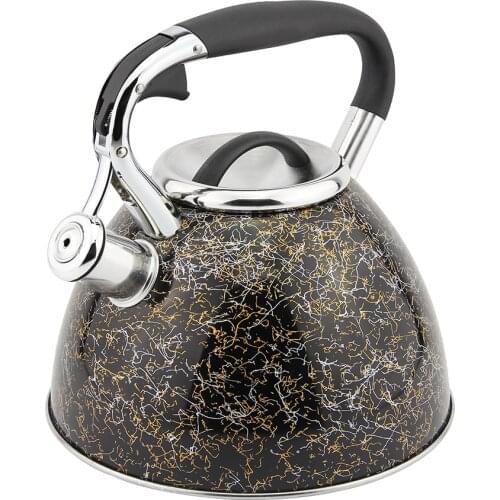 Hausroland Whistling Kettle Golden Thread All Stovetop Stainless Steel Teapot 3.0L 776B