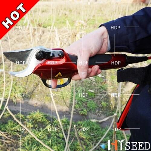 Super garden scissors for fruit tree and garden (forged blade)