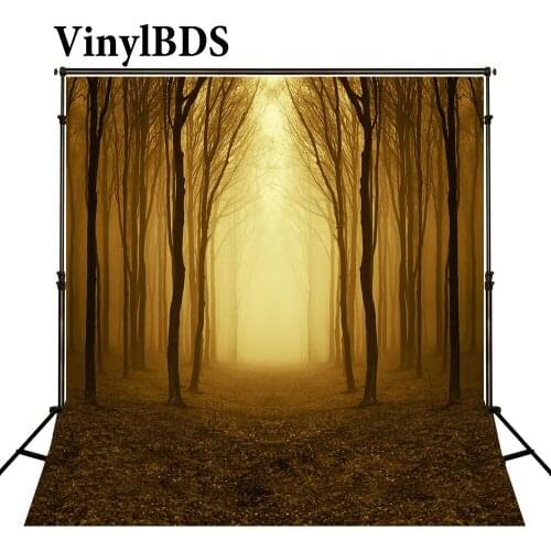 VinylBDS Photography Background Treeslight Newborn Studio Grass Leaf Backdrop Fall Scenery Backdrop Fairy Tale Forest Backdrops