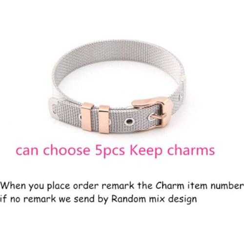Somsoar Jewelry OEM Bracelet Set can choose 5pcs DIY charms with Stainless steel mesh bracelet bands as Valentines Gift