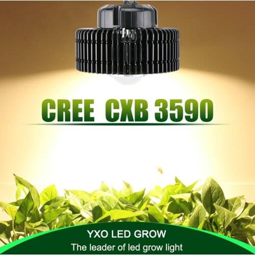 YXO YUXINOU Spotlights