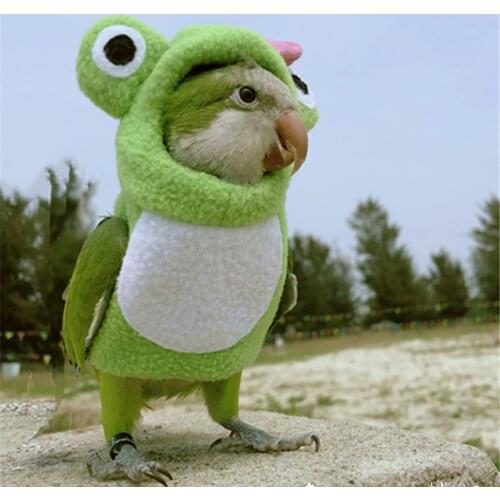 Bird Clothes Pet Parrot Diaper Napkin Hand-made Bird Pants Cute Flying Suit For Cockatiel Sun Parakeet Monk Parakeet Soft Fabric