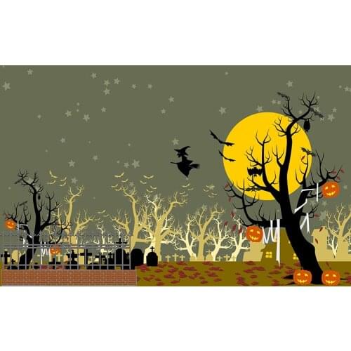 Magic photo backgrounds 2020 Halloween kids portrait background photography backdrops for Theme photo studio video props lv-2427