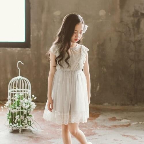 Children Dress Summer Lace Pink/ Grey Dress Princess Dress Girls Summer 2020 New Tutu Dance Kids Dress