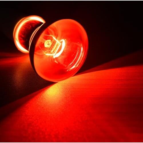 High Quality Amphibian Bird Snake Reptile E27 Red Light Night Heating Lamp Heating And Insulation For Lizards Turtles And Snakes