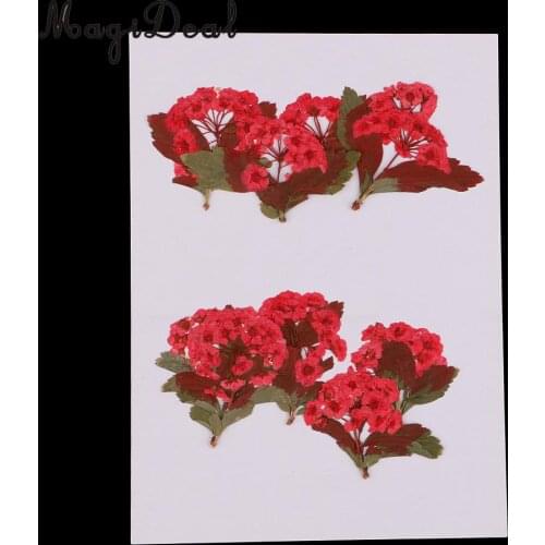 10pcs Red Flower Natural Real Pressed Dried Flower for Jewelry Making Handmade DIY Resin Ornament Crafts