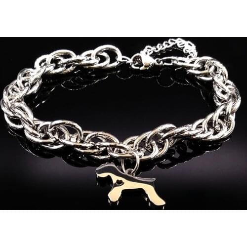 Fashion Pokemon Stainless Steel Bracelets for Women Schnauzer Silver Color Bracelet Jewelry Gift pulseras mujer moda B17901S02
