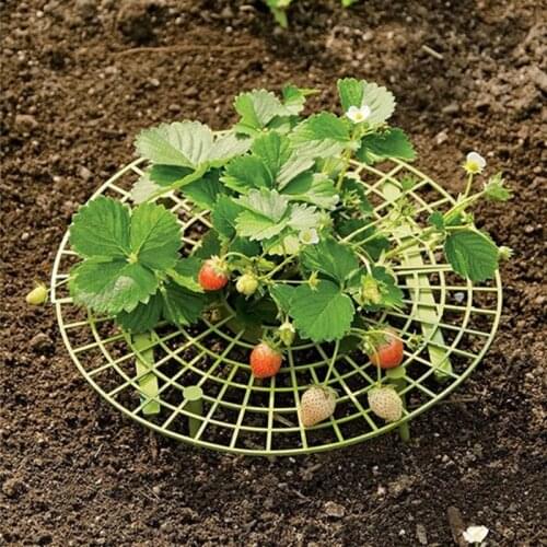 20/10/5PCS Strawberry Stand Frame Holder Balcony Planting Rack Fruit Support Plant Flower Climbing Vine Pillar Gardening Stand
