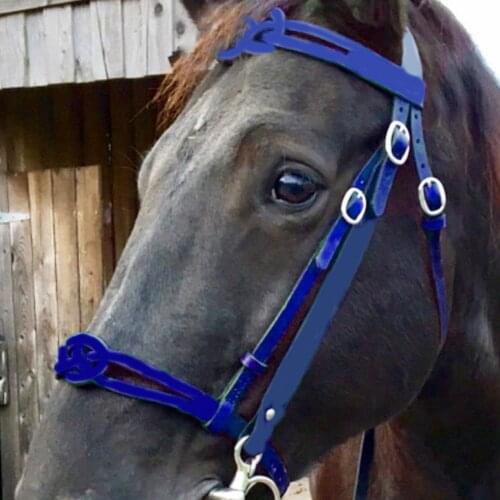 1pc Thickened Horse Head Collar Adjustable Safety Halter Bridle Practical Headcollar Horse Riding Racing Equipment Training Rope