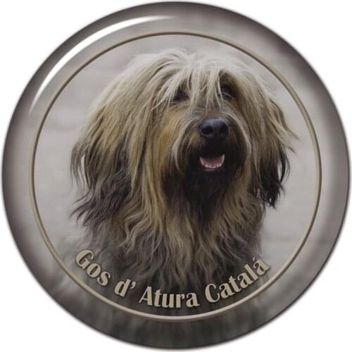 B0879# 13CM/17CM Self-Adhesive Decal Gos D Atura Catala Dog V2 Car Sticker Decors on Bumper Rear Window Laptop