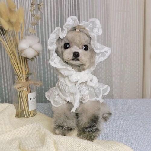 Spring Summer Pet Dog Clothes Lace Breathable Beautiful Stylish Teddy Yorkshire Chihuahua Sun Protection Skirt Puppy Pet Clothes