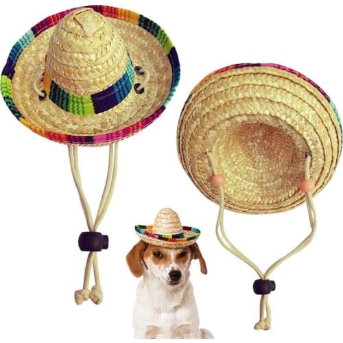 Hoopreety Hats For Dogs