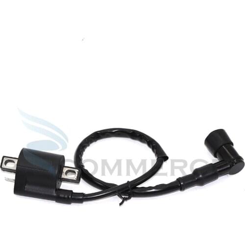 Ignition Coil For 50cc 90cc 110cc 125cc 150cc 250cc ATV Scooter Motorcycle Quad Dirt Bike