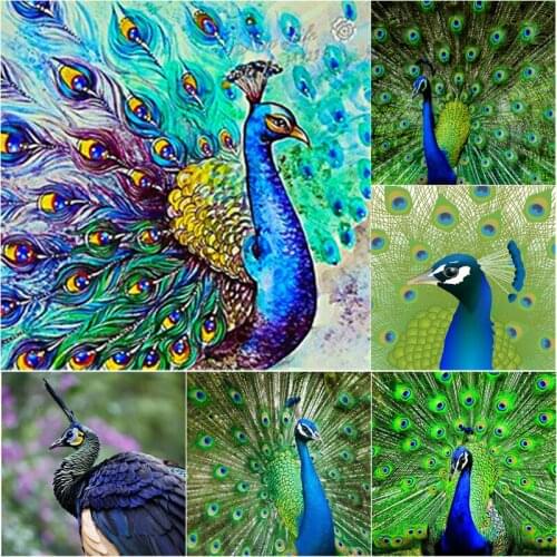 5D DIY Diamond Painting Peacock Diamond Embroidery Scenery Animal Cross Stitch Full Round Square Drill Manual Gift Home Decor