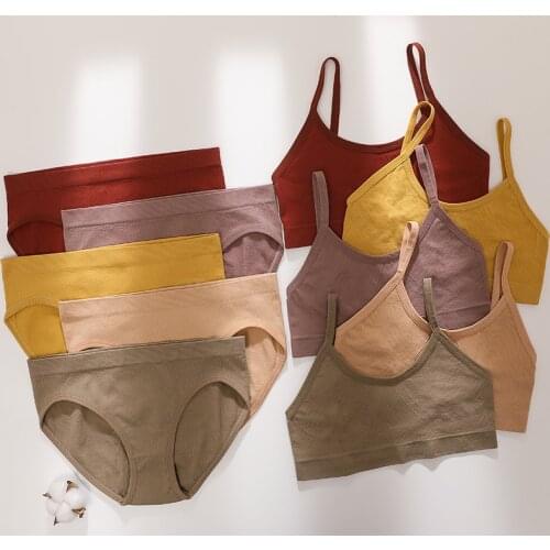 Women Bra Sexy Lingerie Set Wireless Bra And Panties Set Push Up Bra Briefs Panty Seamless Bra Active Female Crop Top Underwear