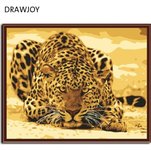 Frameless picture on wall acrylic painting by numbers abstract drawing by numbers coloring by numbers 40x50cm Leopard G253