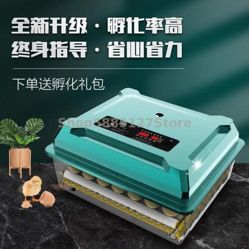 Hatching Machine Hatching Machine Hatching Machine Hatching Machine Hatching Machine Hatching Machine Hatching Machine Hatching