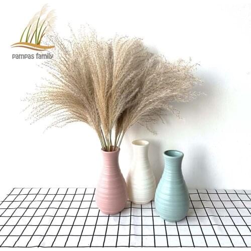 Pampas Grass Decor Natural Dried Flowers Fluffy Flowers Decoration Home Wedding Road Lead Flowers With Plastic Vase