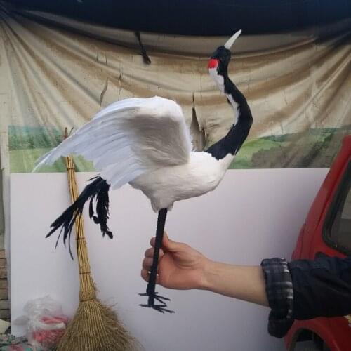 Large 60x45cm white feathers Red-crowned crane model foam&feathers spreading wings bird handicraft,garden decoration gift a2691