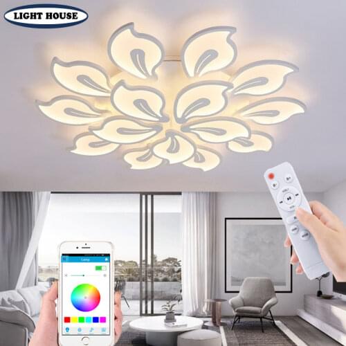 Modern bedroom living room LED ceiling light acrylic high light transmittance royal ceiling light chandelier