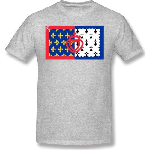 Unofficial Flag Of Pays-de-la-Loire Humor Graphic Mens Basic Short Sleeve T-Shirt Flags of the regions of France Tees Tops