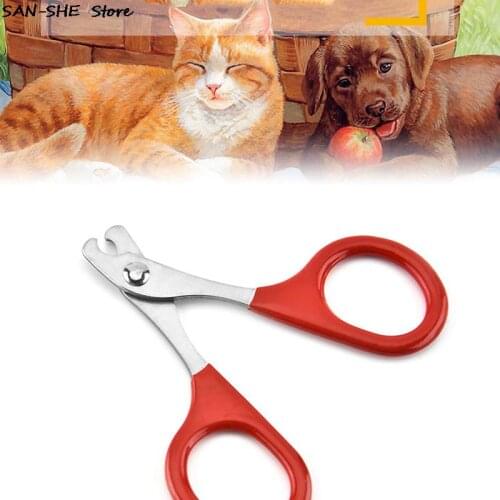 YOWEI Comb For Cats