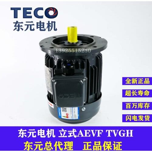 0.18KW 0.37KW 0.75KW 1.5KW vertical AEVF TVGH brake brake