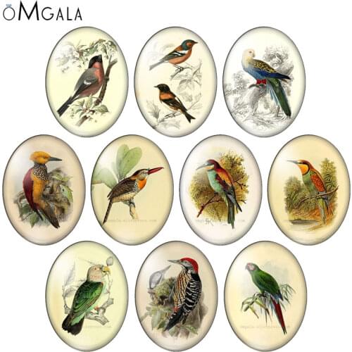 Beauty Vintage Birds Owl parrot patterns 10pcs 13x18mm/18x25mm/30x40mm Oval photo glass cabochon demo flat back Making findings