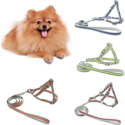 Reflective Adjustable Nylon Cat Harness Leash Suit Walking Runing Lead Pet Traction Rope for Kitten Cat Outdoor Webbing Supplies