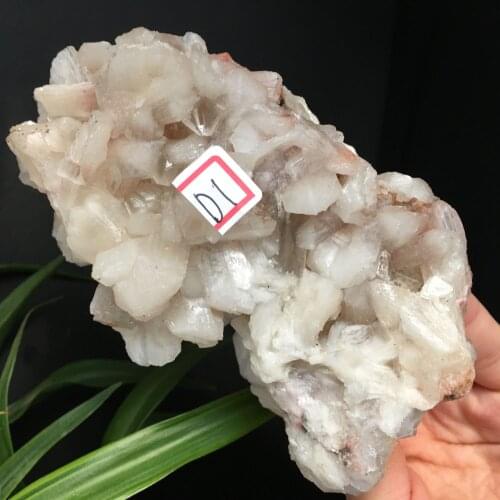 Natural Crystal Apophyllite Zeolite Mineral Specimens Arranged Home Decorative StoneCollection