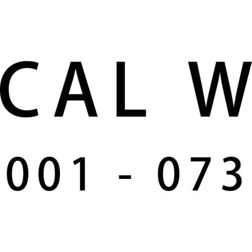 NEW Jewelry Men Women CAL Watch Original Fashion Man Watch Original Jewelry Gift CHARM BEAD Free Delivery CALW 001 - 073