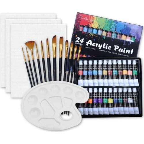 Acrylic Paint Set with Paint Brush,Canvas Boards and Palette for Fabrics Painting Clothing Pigments Professional Artist Painting