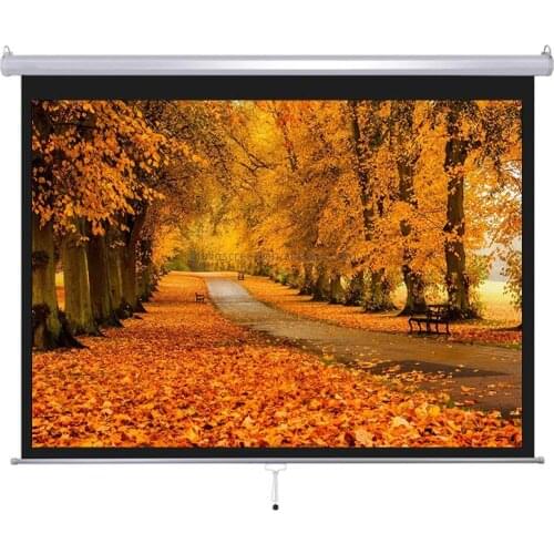 120 Inch 16:9 Portable HD Projector Screen Home Cinema Theater Projection Screen