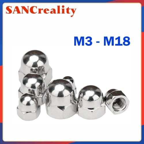 Acorn Cap Nut M3 M4 M5 M6 M8 M10 M12 M14 M16 M18 Stainless Steel Decorative Dome Cap Nuts Blind Nuts