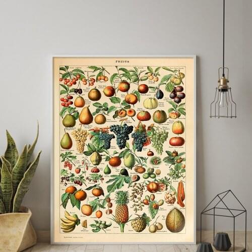 Botanical Educational Poster Fruit Print Vintage Millot French Poster Art Reference Chart Diagram Wall Art Canvas Painting