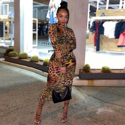 2021 Fashion Women Long Sleeve Maxi Dress Ladies Leopard Mesh Sheer Bodycon Straight Dress Party Club Vintage Dresses Summer