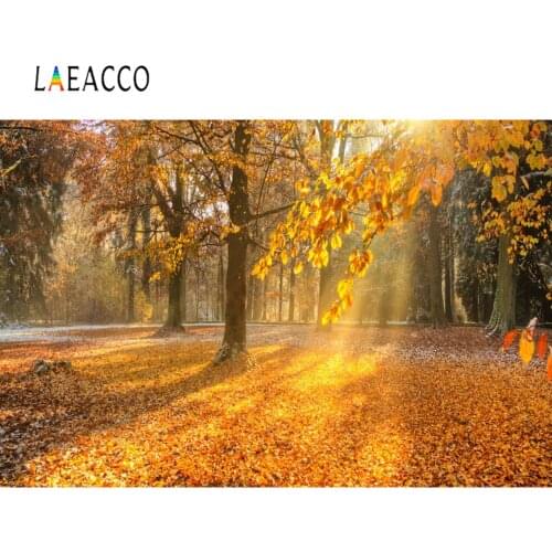 Laeacco Photography Backdrops Autumn Fallen Leaves Maple Forest Sunshine Scenic Photo Backgrounds Photocall For Photo Studio
