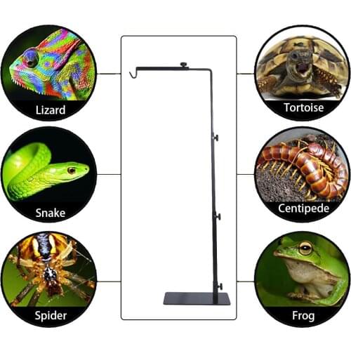 Pet Supplies Bracket Large Reptile Heating Lamp Holder Adjustable Telescopic Metal Floor Stand Beauty Lamp Stand Holder